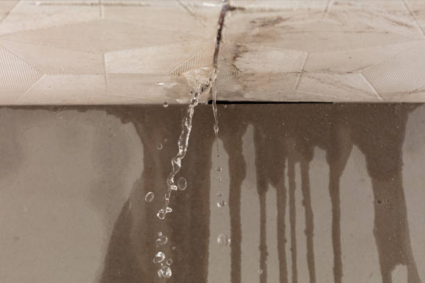 Professional Water Damage Repair technician working in Bay Port, MI